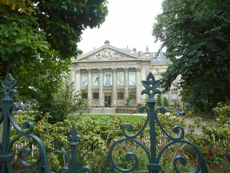 Musee d’Histoire Naturelle de Nantes